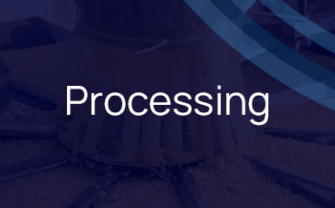 Processing