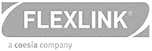 Flexlink Systems 